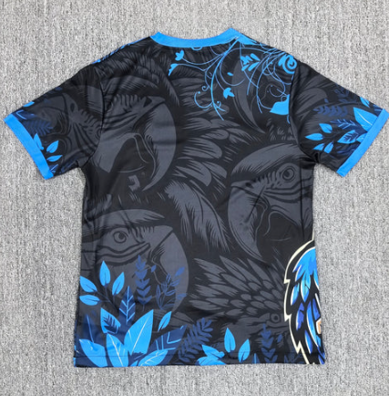 Maillot Brésil Concept 25/26