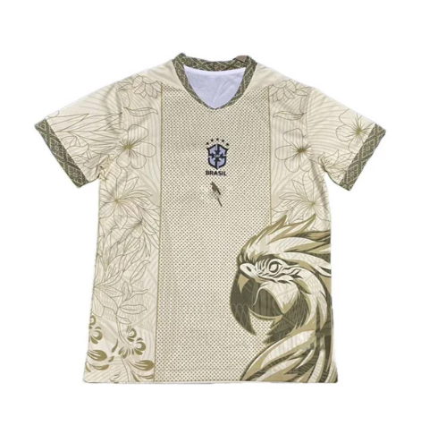 Maillot Brésil Concept 25/26