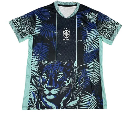 Maillot Brésil Concept 25/26