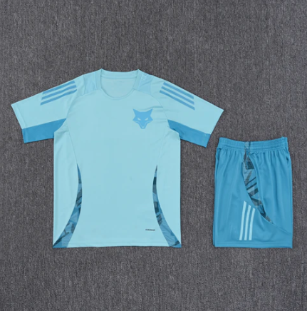 Kit Entraînement Adulte Cruzeiro 24/25