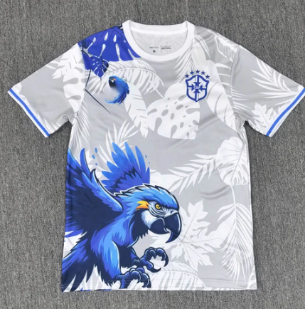Maillot Brésil Concept 25/26