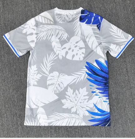 Maillot Brésil Concept 25/26