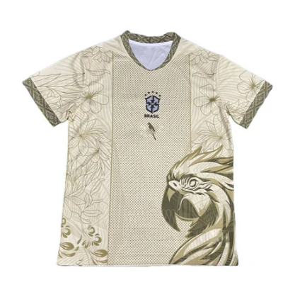 Maillot Brésil Concept 25/26