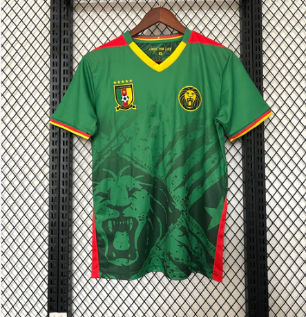 Maillot Cameroun Domicile 25/26