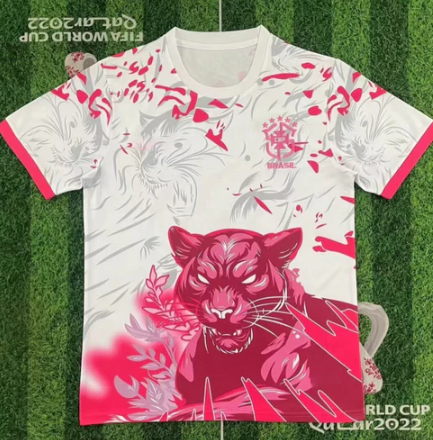 Maillot Brésil Concept 25/26