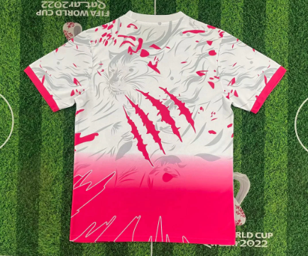 Maillot Brésil Concept 25/26