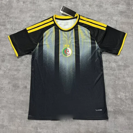 Maillot Algérie Concept 25/26