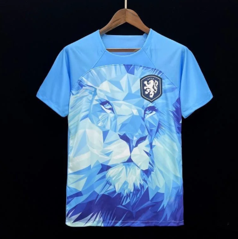 Maillot Angleterre Edition 23/24